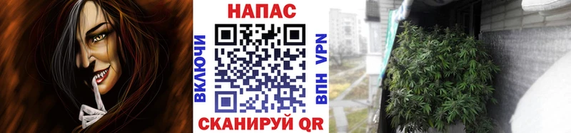 Купить закладки  Острогожск  Шишки марихуана MAZAR 